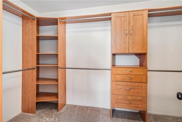 2207 Cork Oak St, Palmdale, CA 93551 - walk in closet with carpet flooring