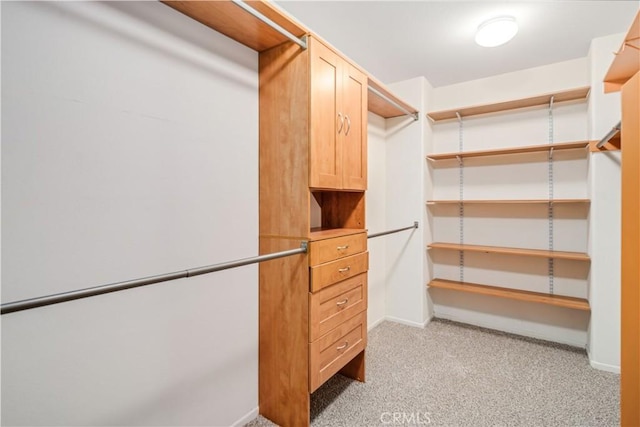 2207 Cork Oak St, Palmdale, CA 93551 - walk in closet with light carpet