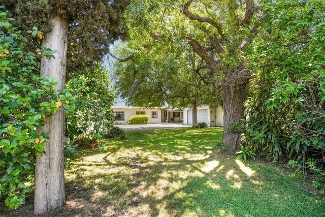 13411 Wingo St, Arleta, CA 91331 - view of green lawn