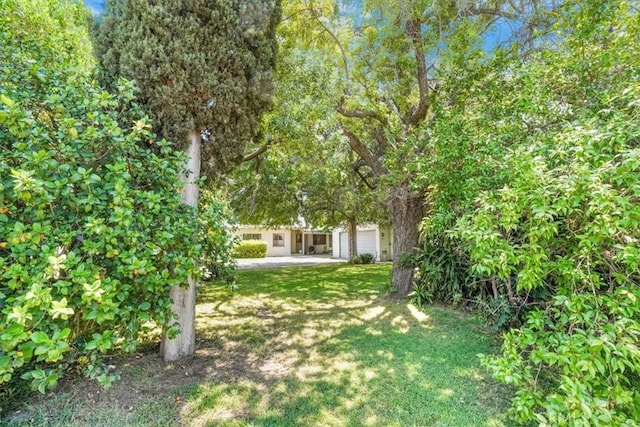 13411 Wingo St, Arleta, CA 91331 - view of grassy yard
