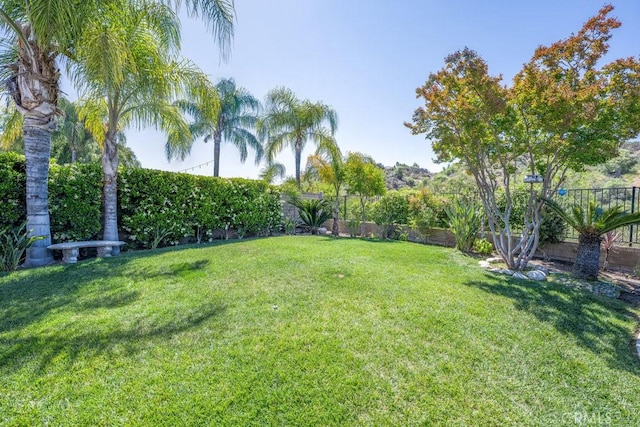 22206 Claibourne Ln, Saugus, CA 91350 - view of yard