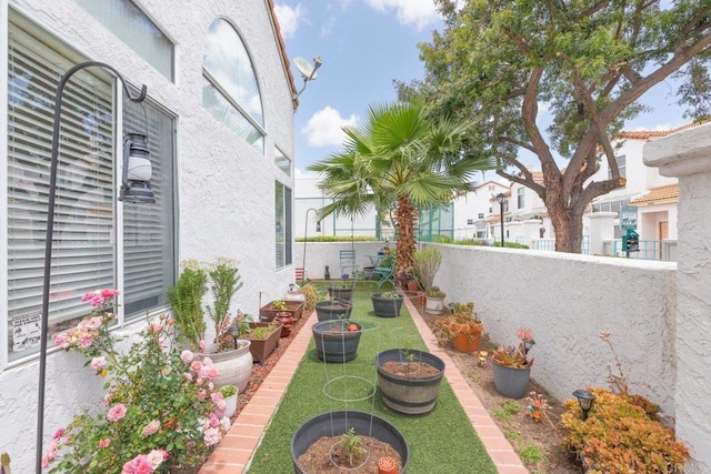 29495 Cara Way, Temecula, CA 92591 - view of yard featuring a vegetable garden