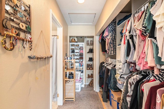 29495 Cara Way, Temecula, CA 92591 - walk in closet featuring attic access and carpet