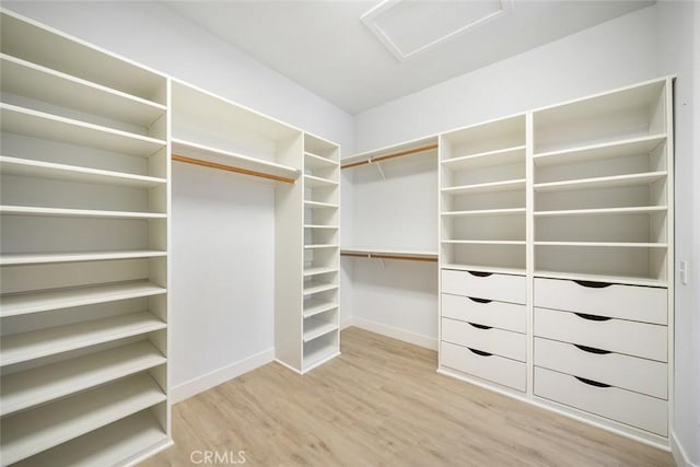 667 Hill St, San Luis Obispo, CA 93405 - walk in closet featuring attic access and light wood-style floors