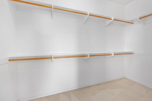 4729 Crater Rim Rd, Carlsbad, CA 92010 - spacious closet with light colored carpet