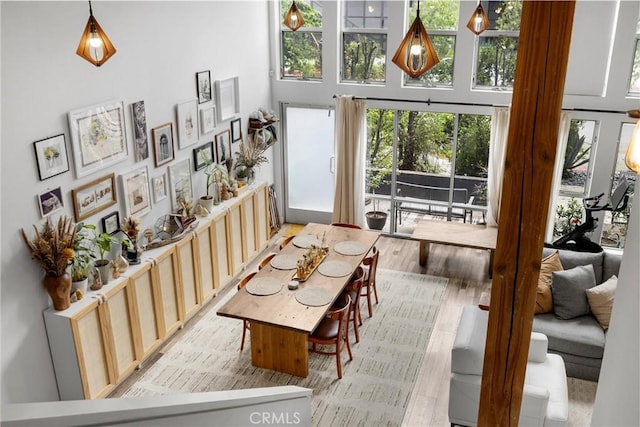 4215 Glencoe Ave Unit 103, Marina Del Rey, CA 90292 - living room with a towering ceiling, plenty of natural light, and light wood finished floors