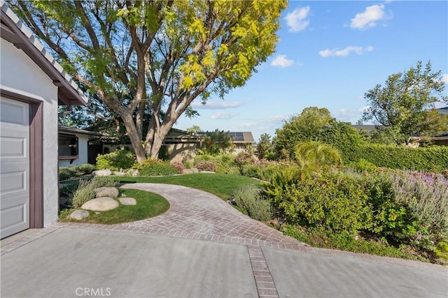 6172 Dalecrest Ave, Woodland Hills, CA 91367 - view of yard