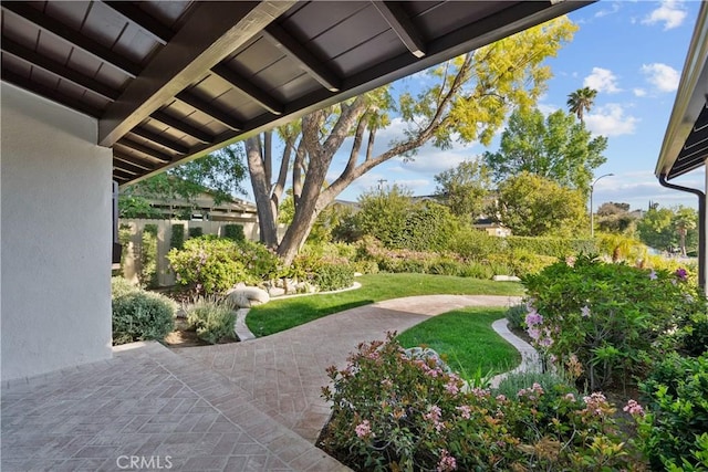 6172 Dalecrest Ave, Woodland Hills, CA 91367 - view of yard featuring a patio