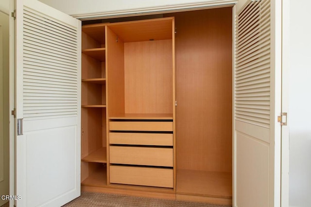 130 S Mentor Ave Unit 205, Pasadena, CA 91106 - view of closet