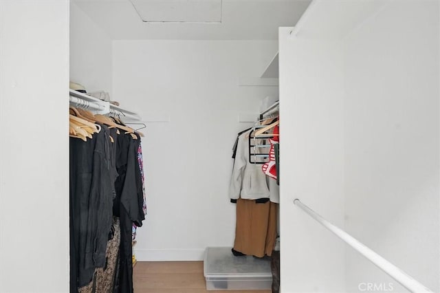 24148 Saint Moritz Dr, Valencia, CA 91355 - walk in closet with wood finished floors and attic access