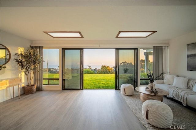 319 Calle Cuervo, San Clemente, CA 92672 - living area featuring wood finished floors