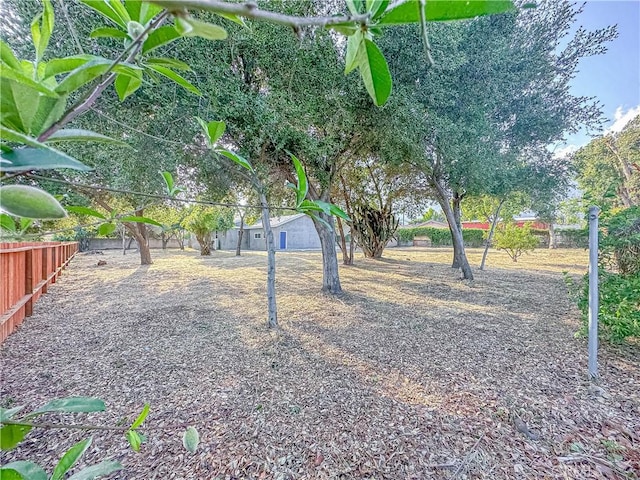 6275 Archibald Ave, Rancho Cucamonga, CA 91737 - view of yard