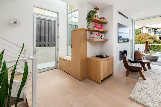 68 E F St, Encinitas, CA 92024 - entryway with light wood-style floors and a glass covered fireplace