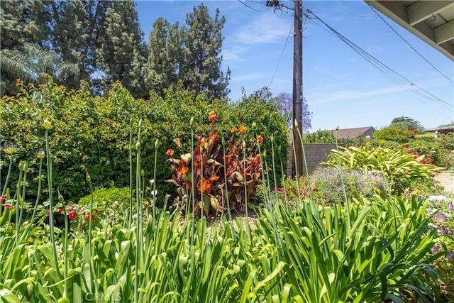7933 Rhea Vista Dr, Whittier, CA 90602 - exterior view