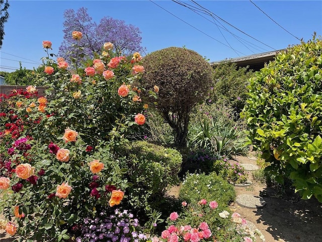 7933 Rhea Vista Dr, Whittier, CA 90602 - view of yard