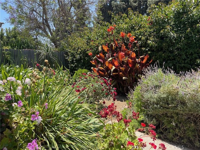 7933 Rhea Vista Dr, Whittier, CA 90602 - view of yard