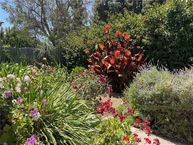 7933 Rhea Vista Dr, Whittier, CA 90602 - view of yard