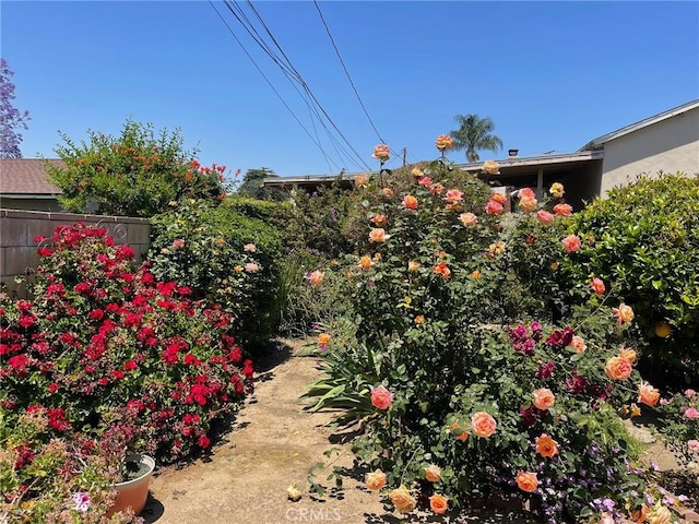 7933 Rhea Vista Dr, Whittier, CA 90602 - view of yard