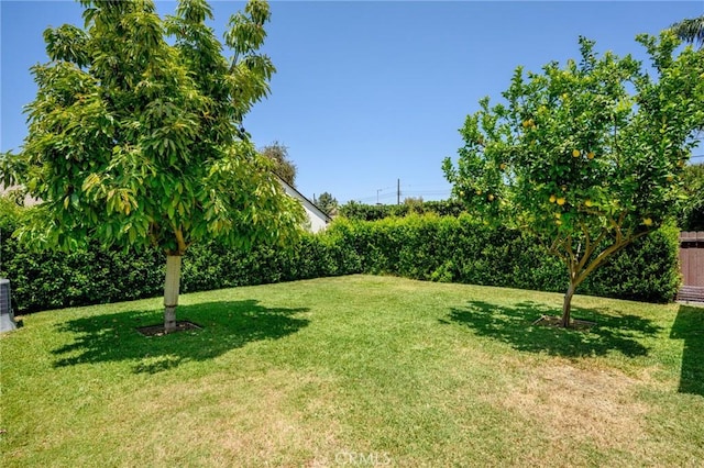 13617 Bassett St, Valley Glen, CA 91405 - view of yard