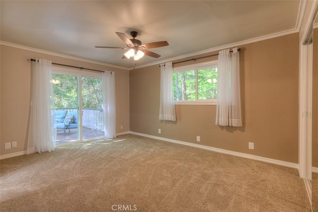 6125 Desabla Ln, Magalia, CA 95954 - spare room with ceiling fan, carpet floors, baseboards, and crown molding