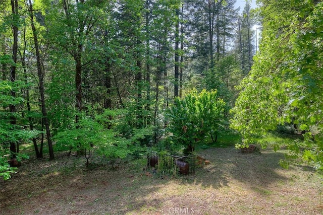 6125 Desabla Ln, Magalia, CA 95954 - view of tree filled area