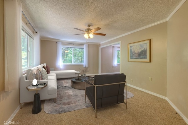 6125 Desabla Ln, Magalia, CA 95954 - living room with a textured ceiling, a ceiling fan, ornamental molding, carpet, and baseboards