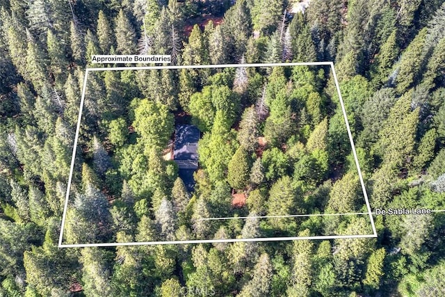 6125 Desabla Ln, Magalia, CA 95954 - aerial view of property's location featuring property parcel outlined and a heavily wooded area