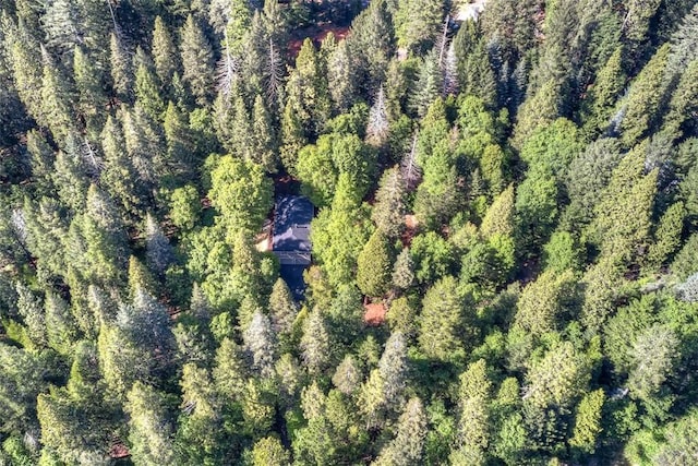 6125 Desabla Ln, Magalia, CA 95954 - aerial overview of property's location