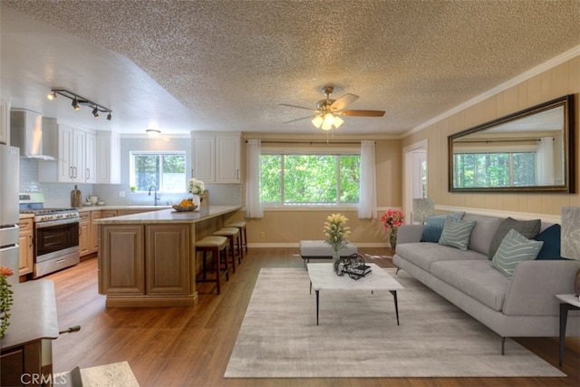 6125 Desabla Ln, Magalia, CA 95954 - living area with a textured ceiling, light wood-style floors, a ceiling fan, ornamental molding, and baseboards