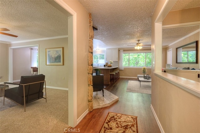 6125 Desabla Ln, Magalia, CA 95954 - hallway featuring a textured ceiling, ornamental molding, light wood-style flooring, and baseboards