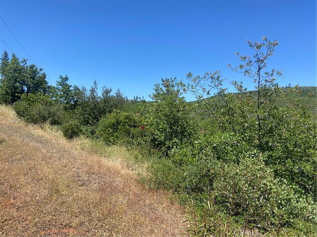 3510 Stone Mountain Rd, Oroville, CA 95965 - photo 6