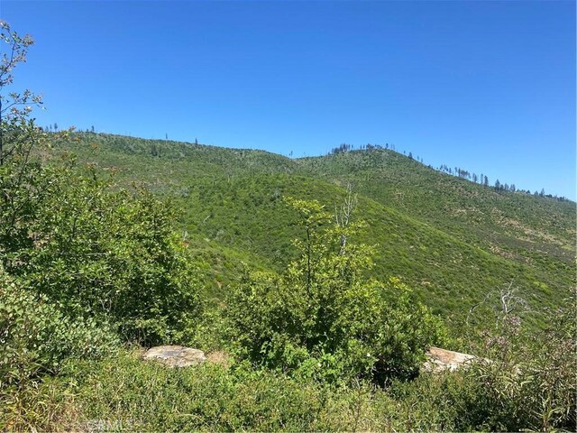 3510 Stone Mountain Rd, Oroville, CA 95965 - photo 5