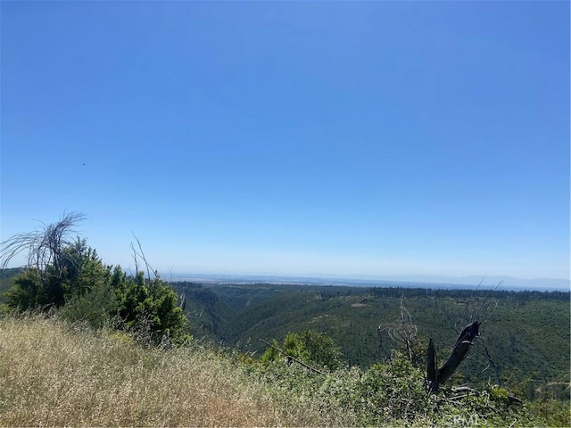 3510 Stone Mountain Rd, Oroville, CA 95965 - photo 2