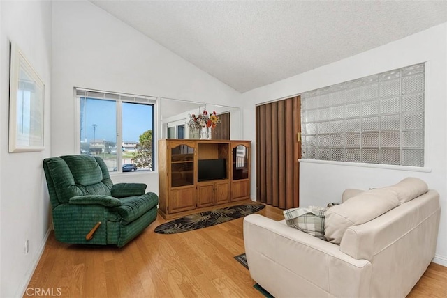 17152 Pacific Coast Unit 19, Huntington Beach, CA 92649 - living room with wood finished floors, a textured ceiling, and high vaulted ceiling