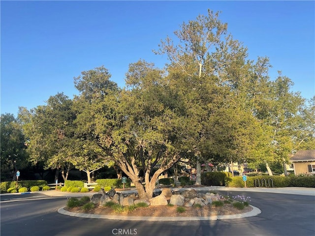 27665 Bottle Brush Way, Murrieta, CA 92562 - view of asphalt street with curbs