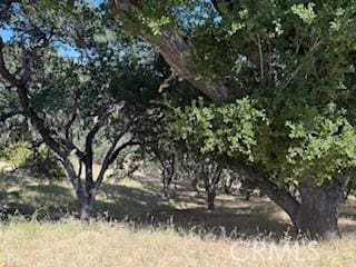 2172 Ridge Rider Rd, Bradley, CA 93426
