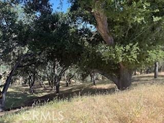 2172 Ridge Rider Rd, Bradley, CA 93426