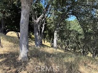2172 Ridge Rider Rd, Bradley, CA 93426