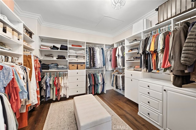 11 Markham Ln, Ladera Ranch, CA 92694 - spacious closet with attic access and dark wood-style flooring