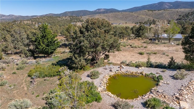 1131 Kickapoo Ct, Big Bear City, CA 92314 - photo 5