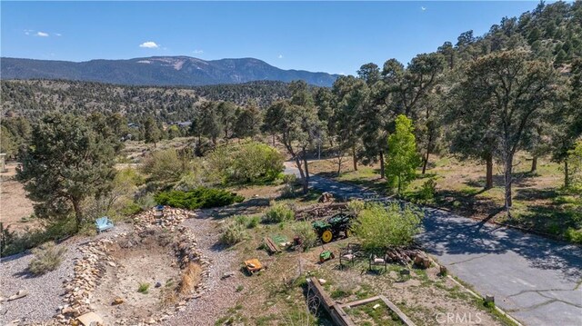 1131 Kickapoo Ct, Big Bear City, CA 92314 - photo 4