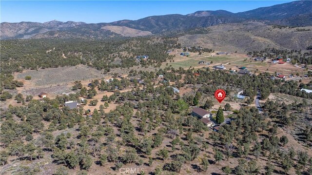 1131 Kickapoo Ct, Big Bear City, CA 92314 - photo 9