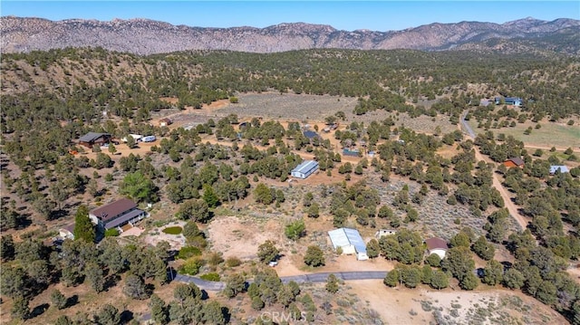1131 Kickapoo Ct, Big Bear City, CA 92314 - photo 11