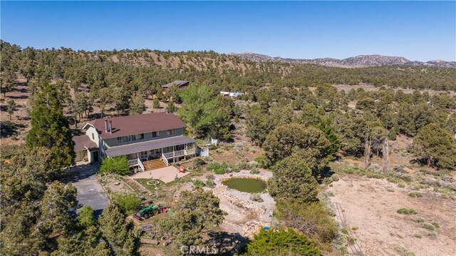 1131 Kickapoo Ct, Big Bear City, CA 92314 - photo 3