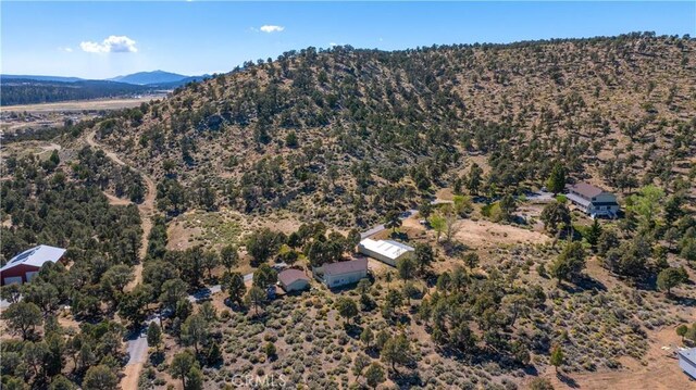 1131 Kickapoo Ct, Big Bear City, CA 92314 - photo 7
