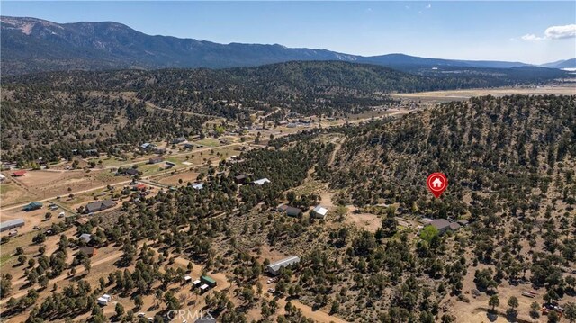 1131 Kickapoo Ct, Big Bear City, CA 92314 - photo 8