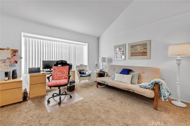 4240 Lost Hills Rd Unit 2102, Calabasas, CA 91301 - carpeted office space featuring high vaulted ceiling