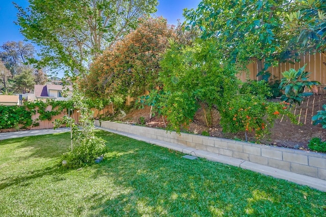 2600 Brynwood Pl, West Covina, CA 91792 - view of yard