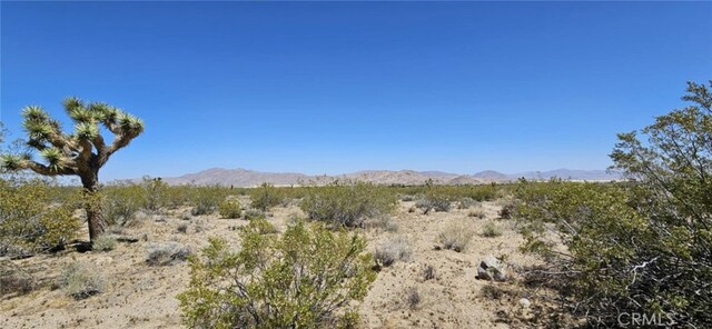 800 Santa Rosa Rd, Lucerne Valley, CA 92356 - photo 4
