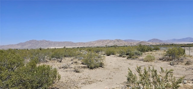 800 Santa Rosa Rd, Lucerne Valley, CA 92356 - photo 2